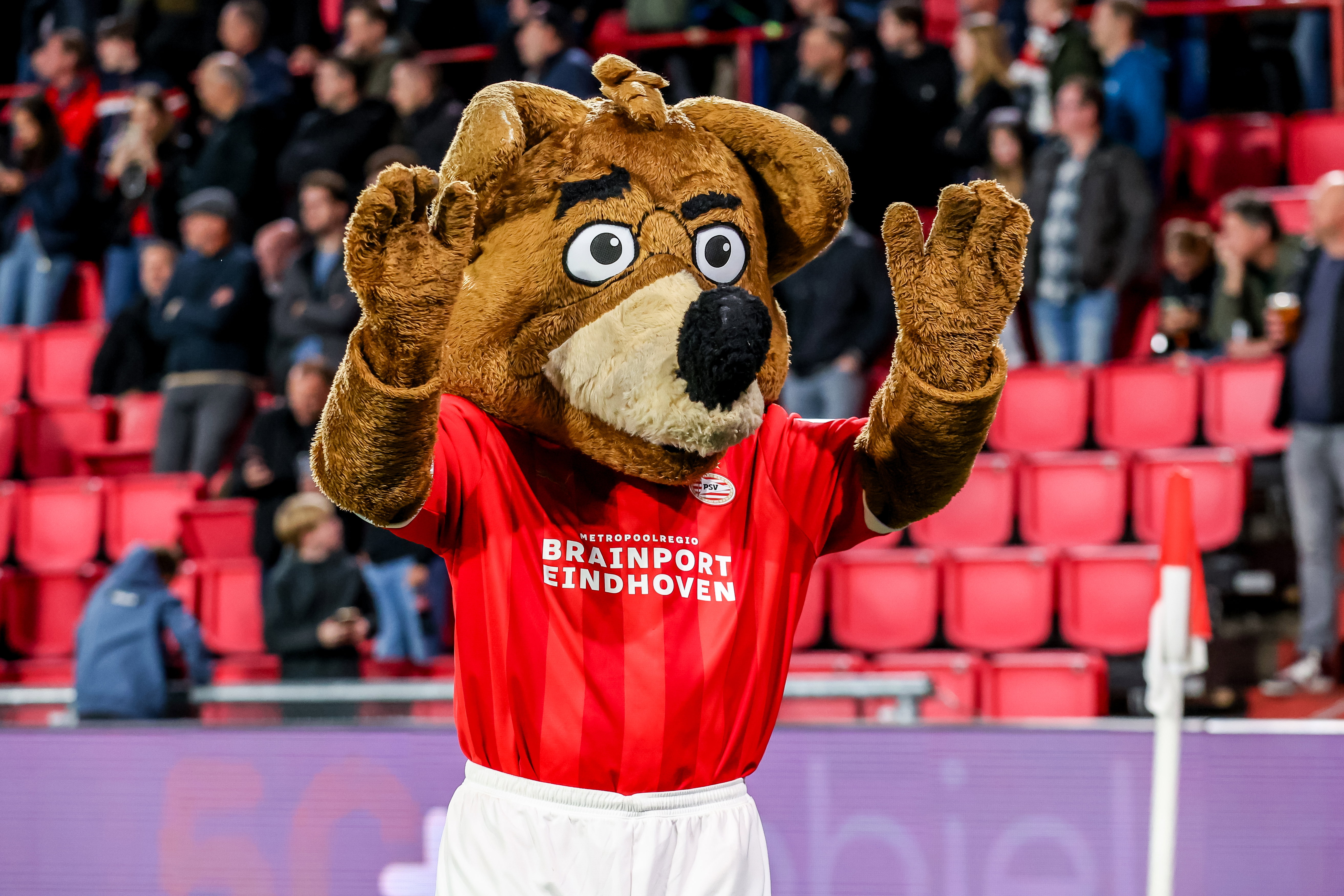 Mascotte Phoxy