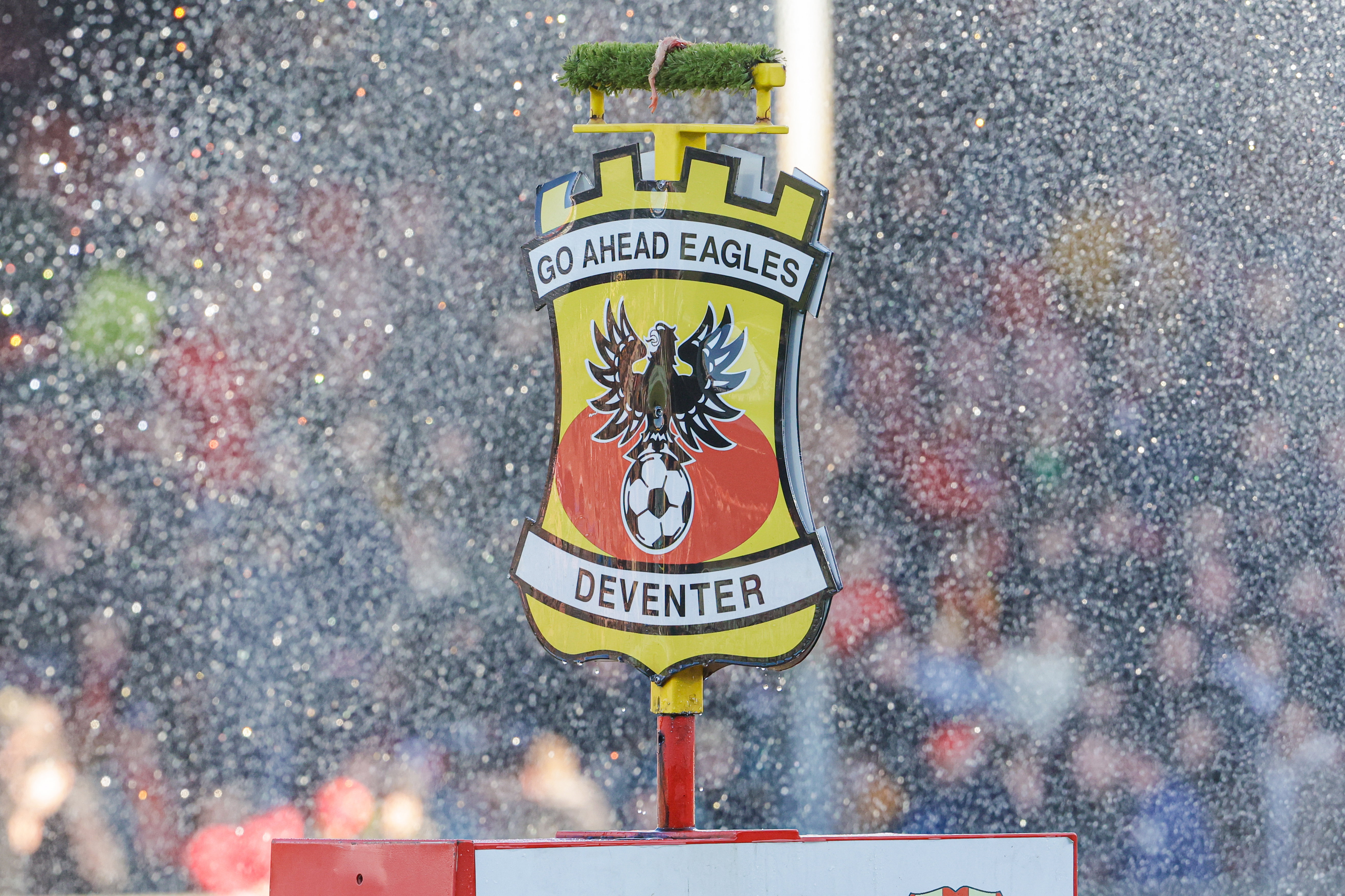Het logo van Go Ahead Eagles