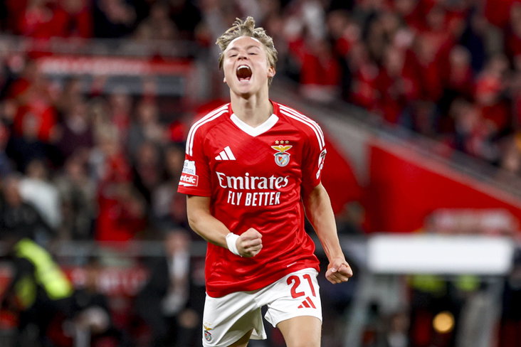 Andreas Schjelderup