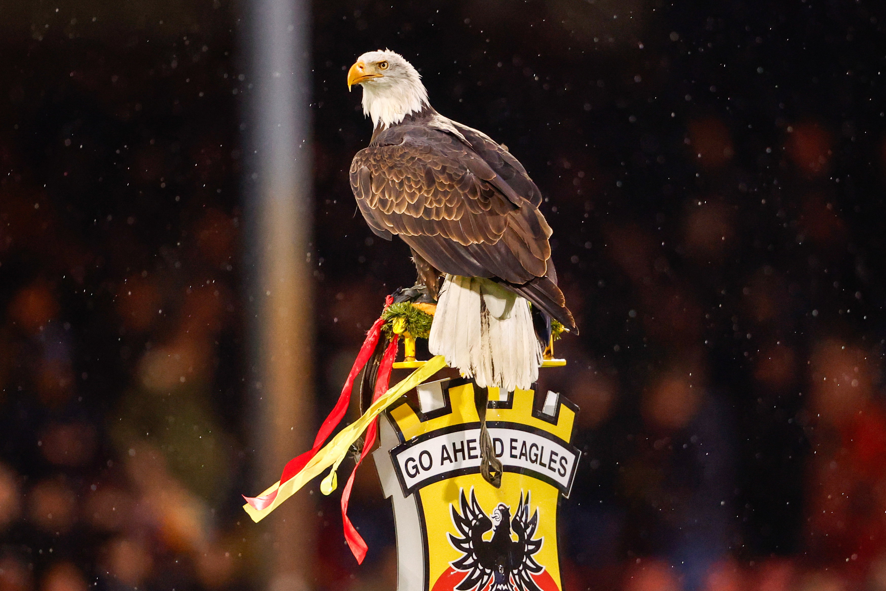 Harley op het logo van Go Ahead Eagles