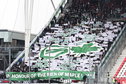 FC Groningen-fans in het uitvak
