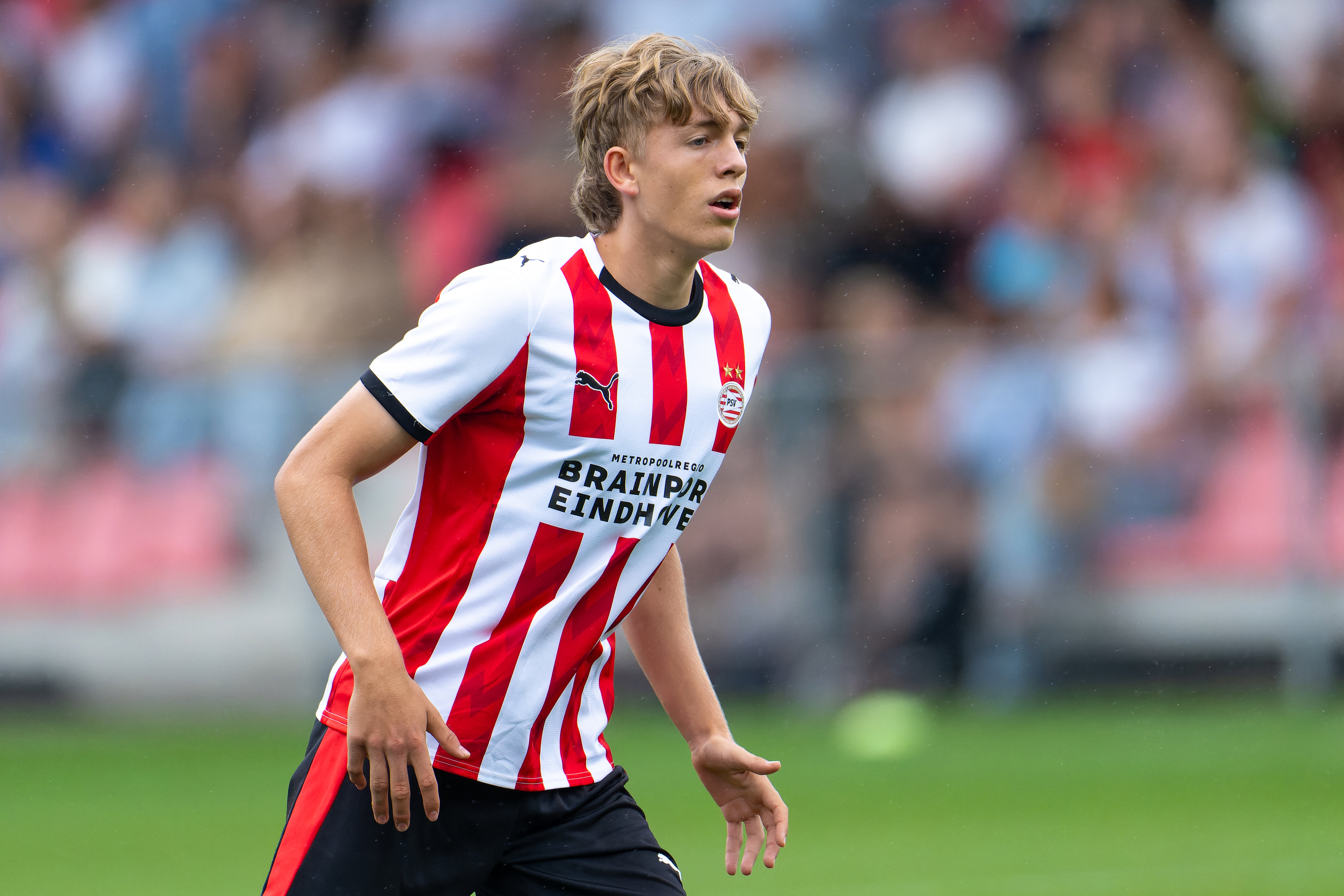 Nicolas Verkooijen