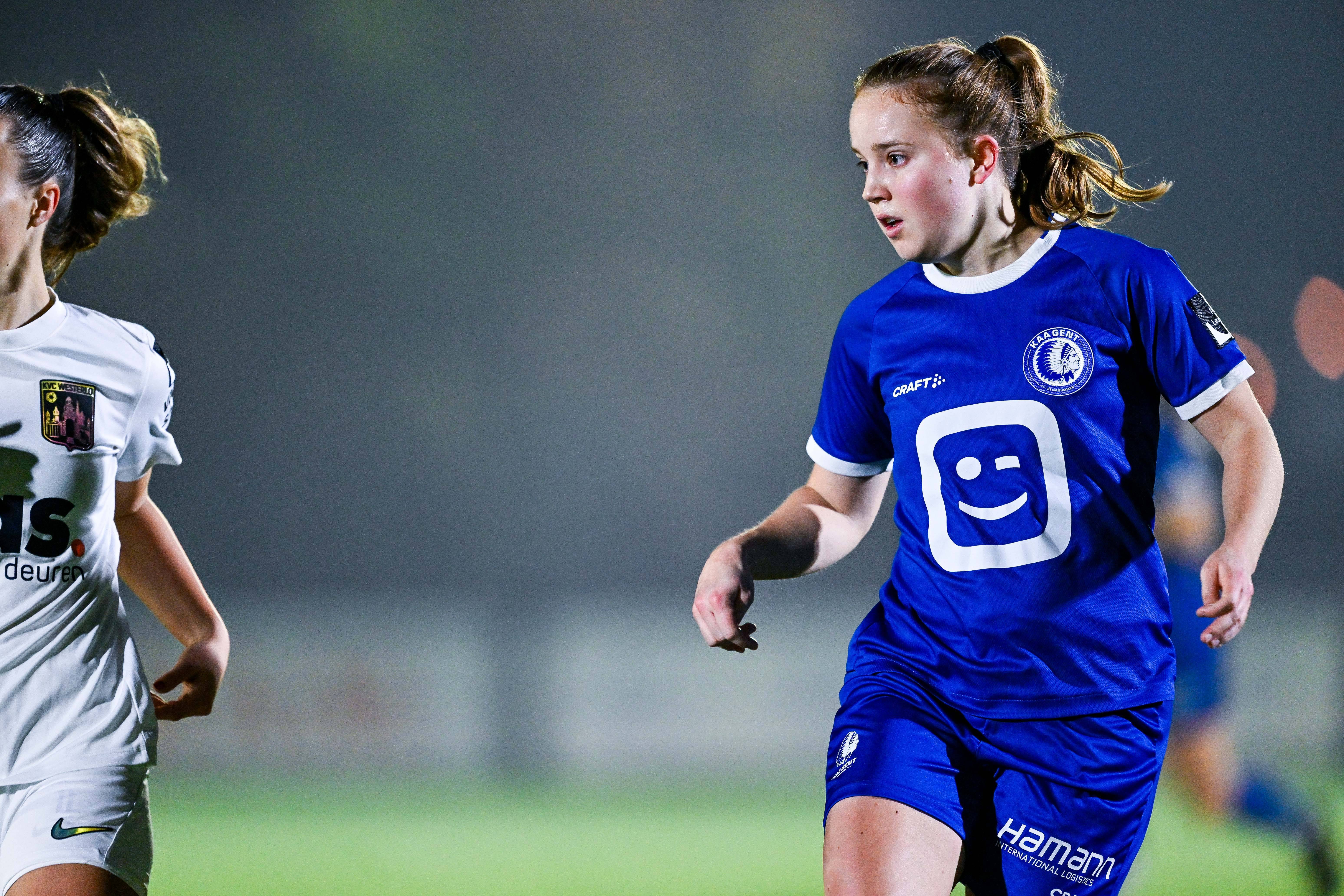Minke Plate