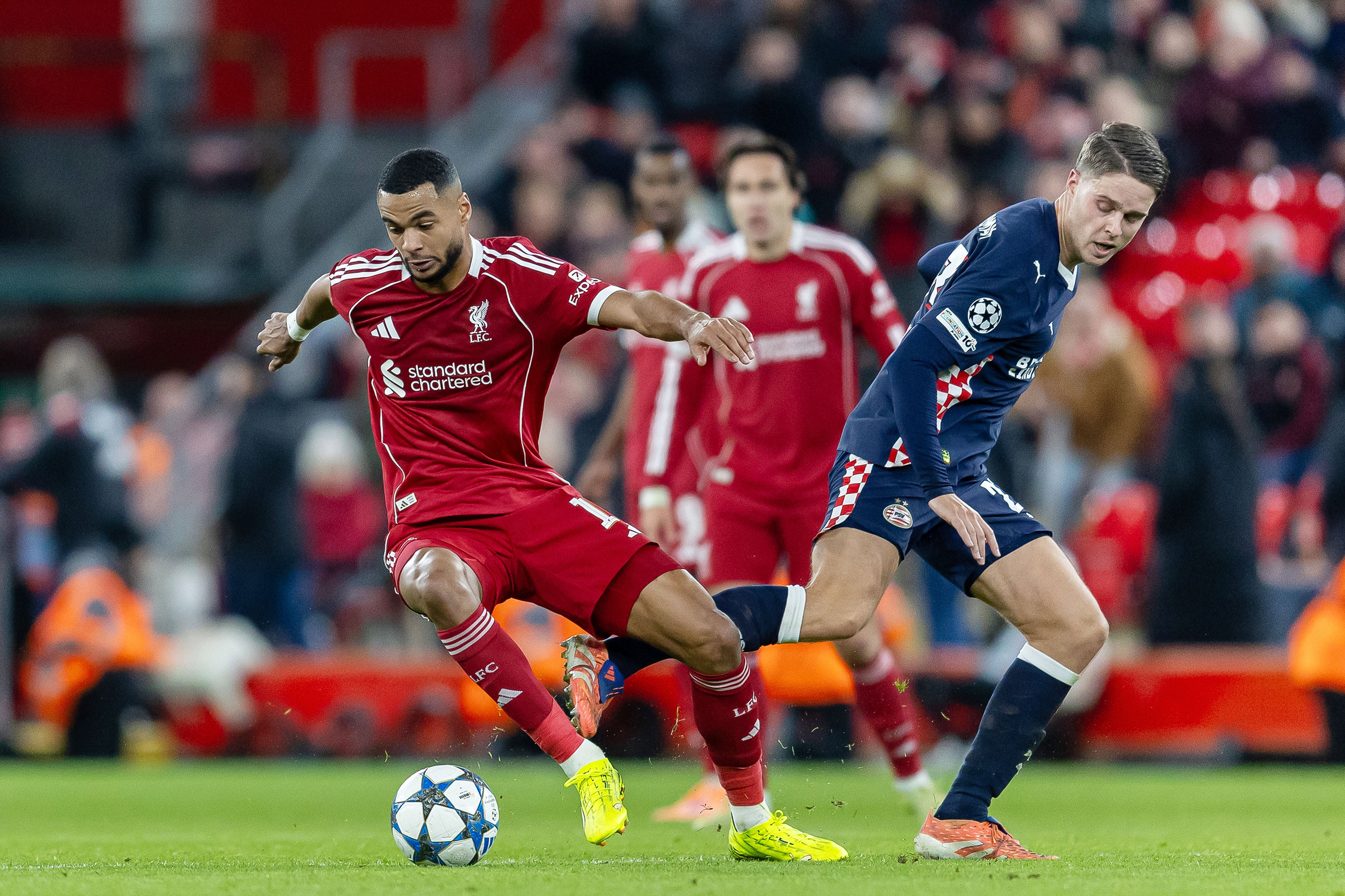 Cody Gakpo in duel met Joey Veerman