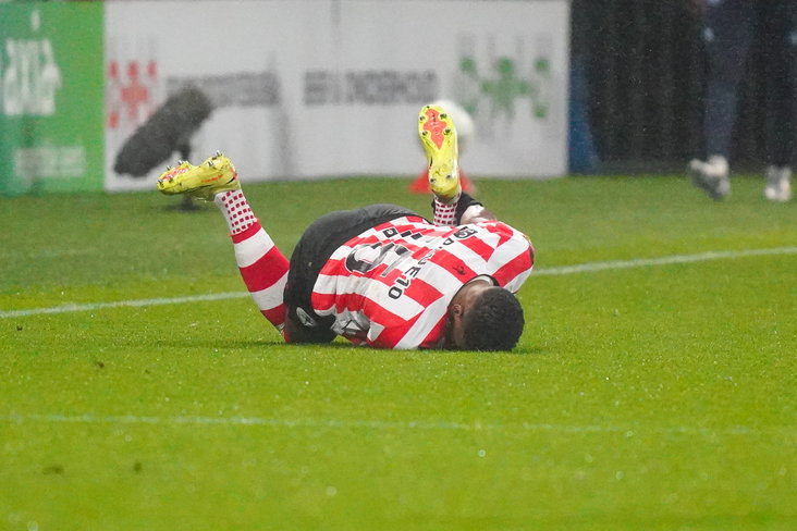 Patrick van Aanholt