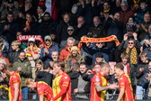 Supporters van Go Ahead Eagles juichen na een doelpunt