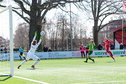 De bomen op de achtergrond op het Diekman