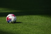 Een bal op het veld