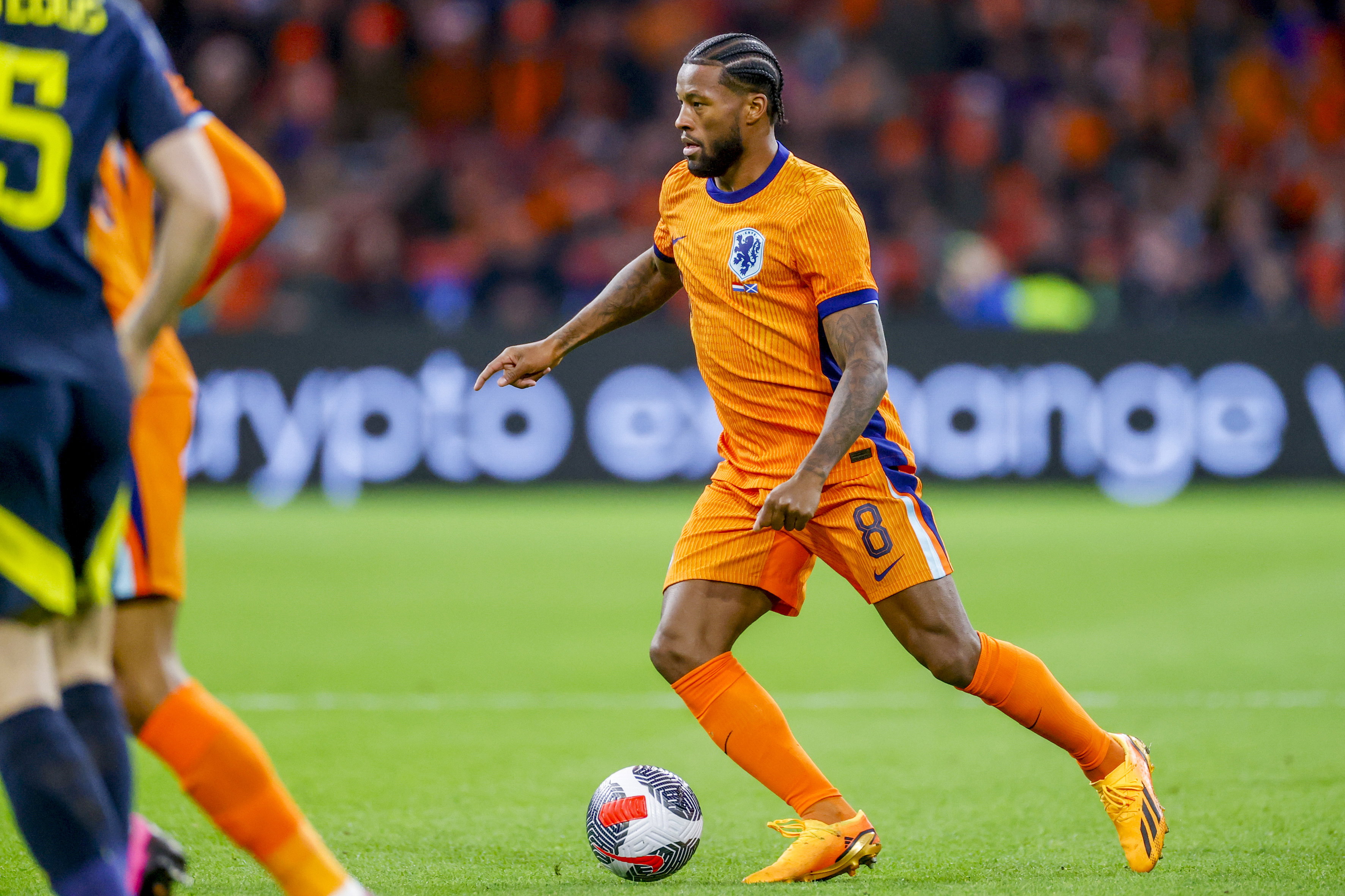 Georginio Wijnaldum