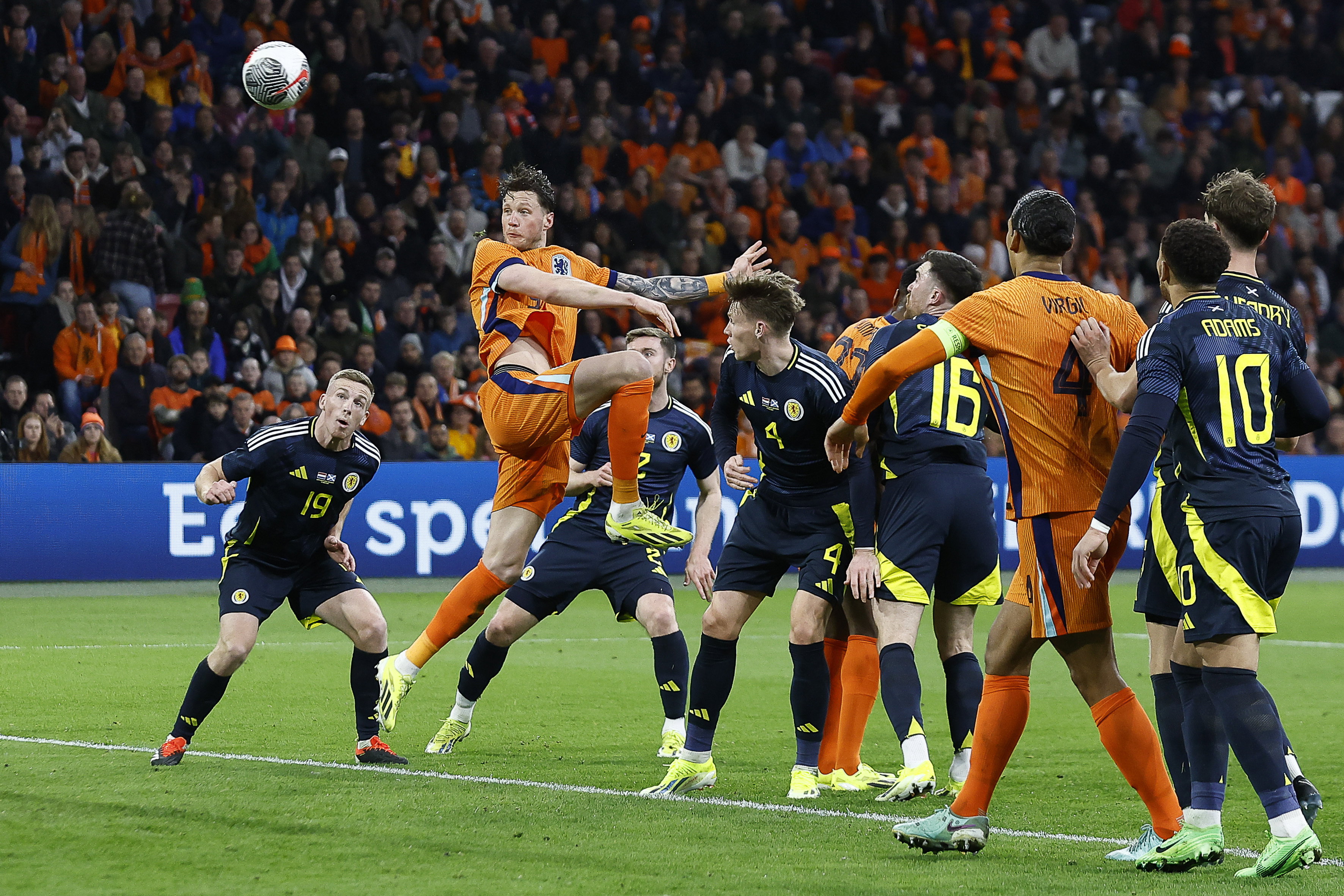 Wout Weghorst in actie tegen Schotland