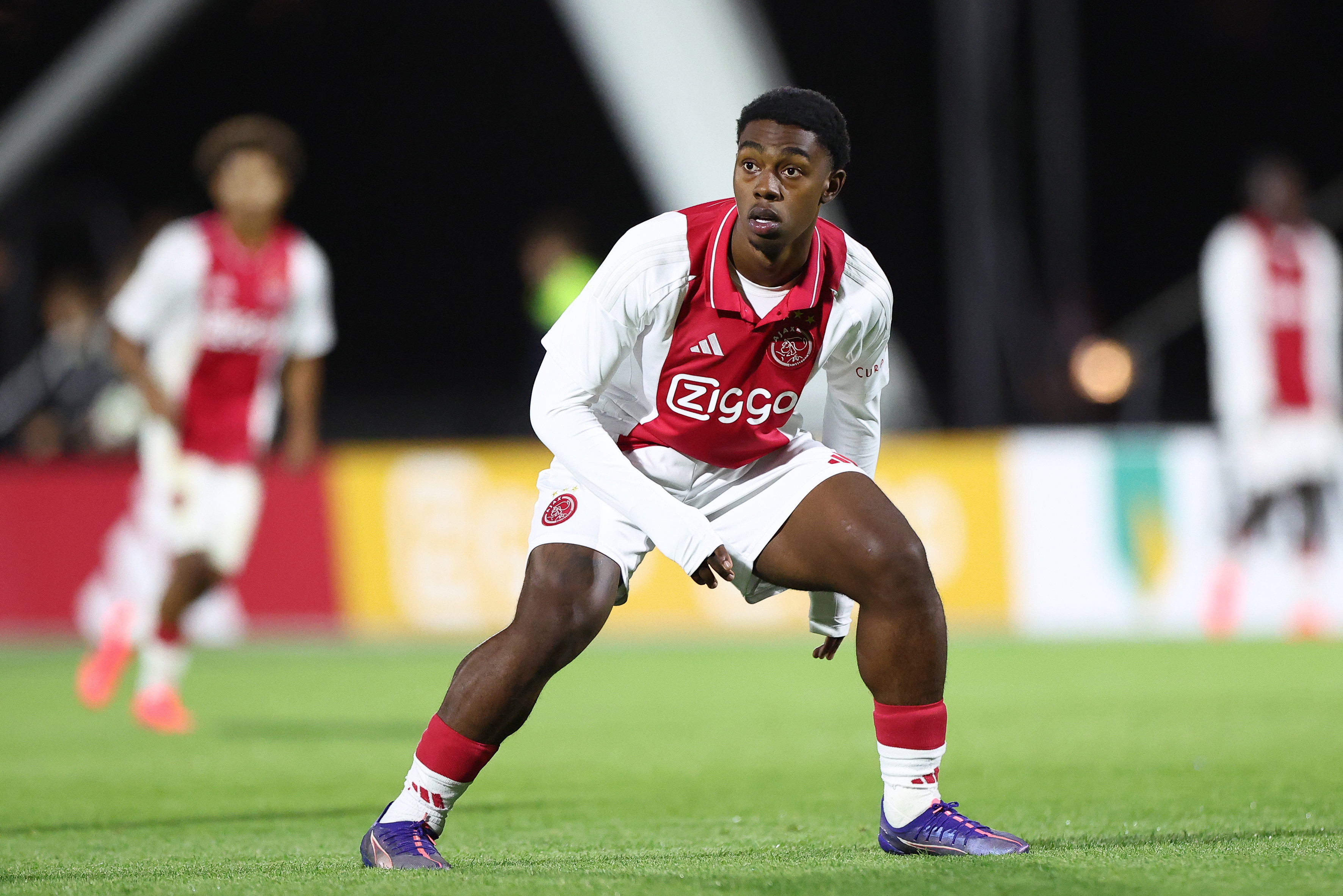 Amourricho van Axel Dongen