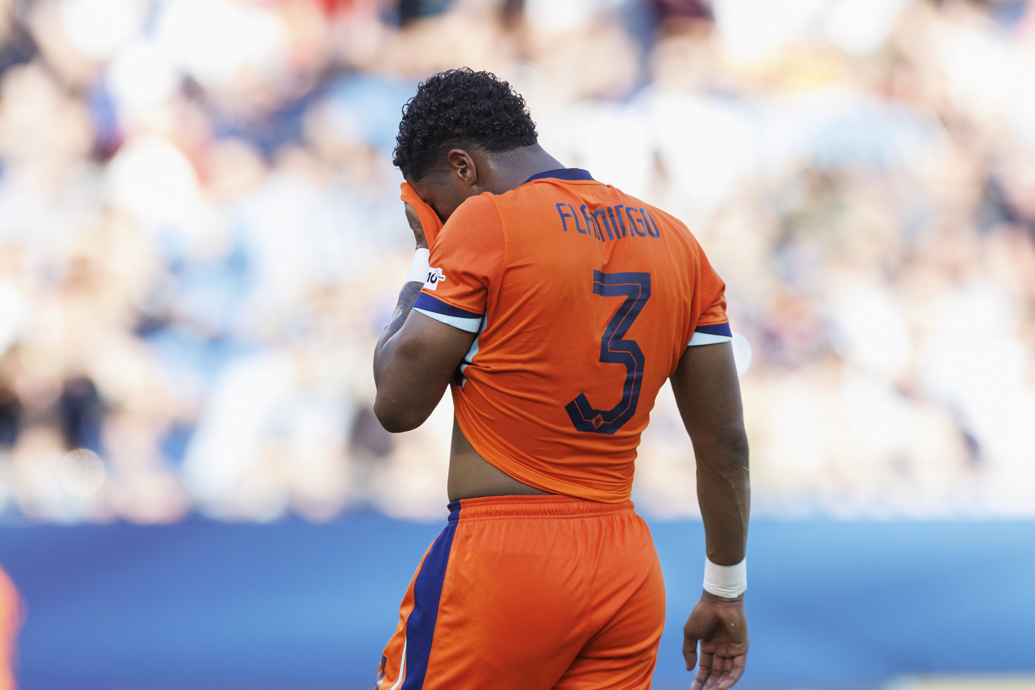 Een vermoeide Ryan Flamingo