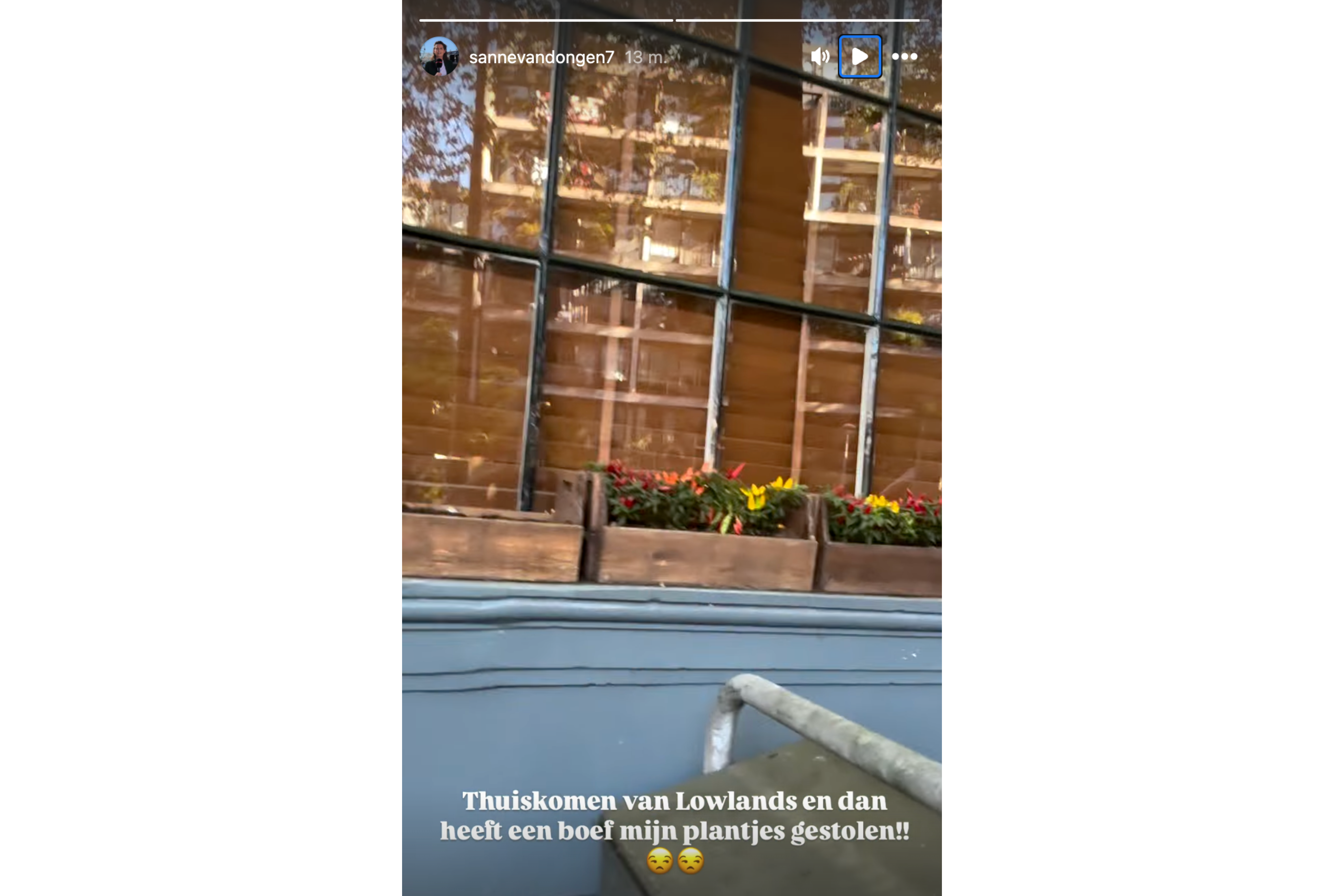 De Instagram Story van Sanne van Dongen