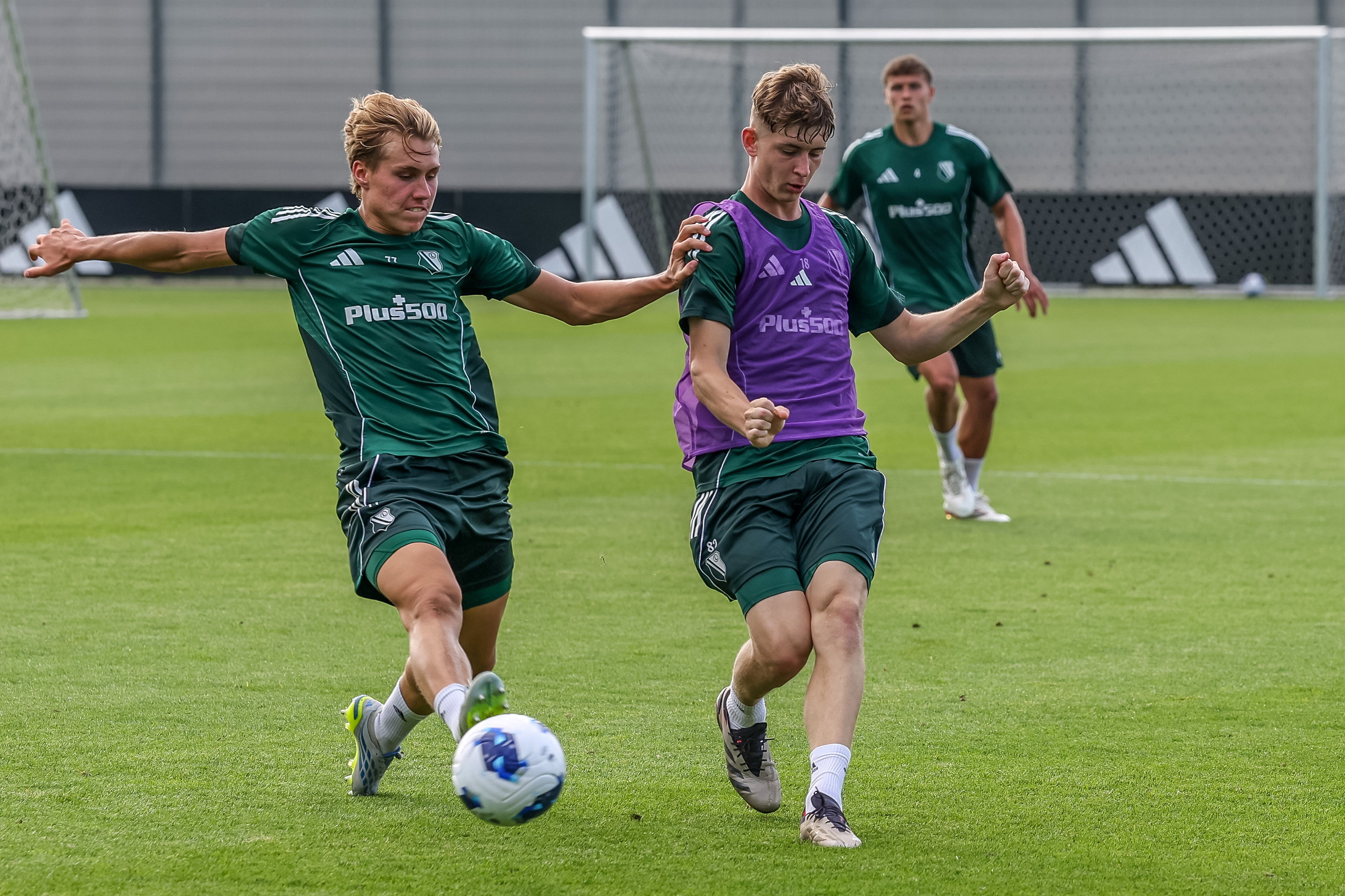 Filip Przybylko bij Legia Warschau