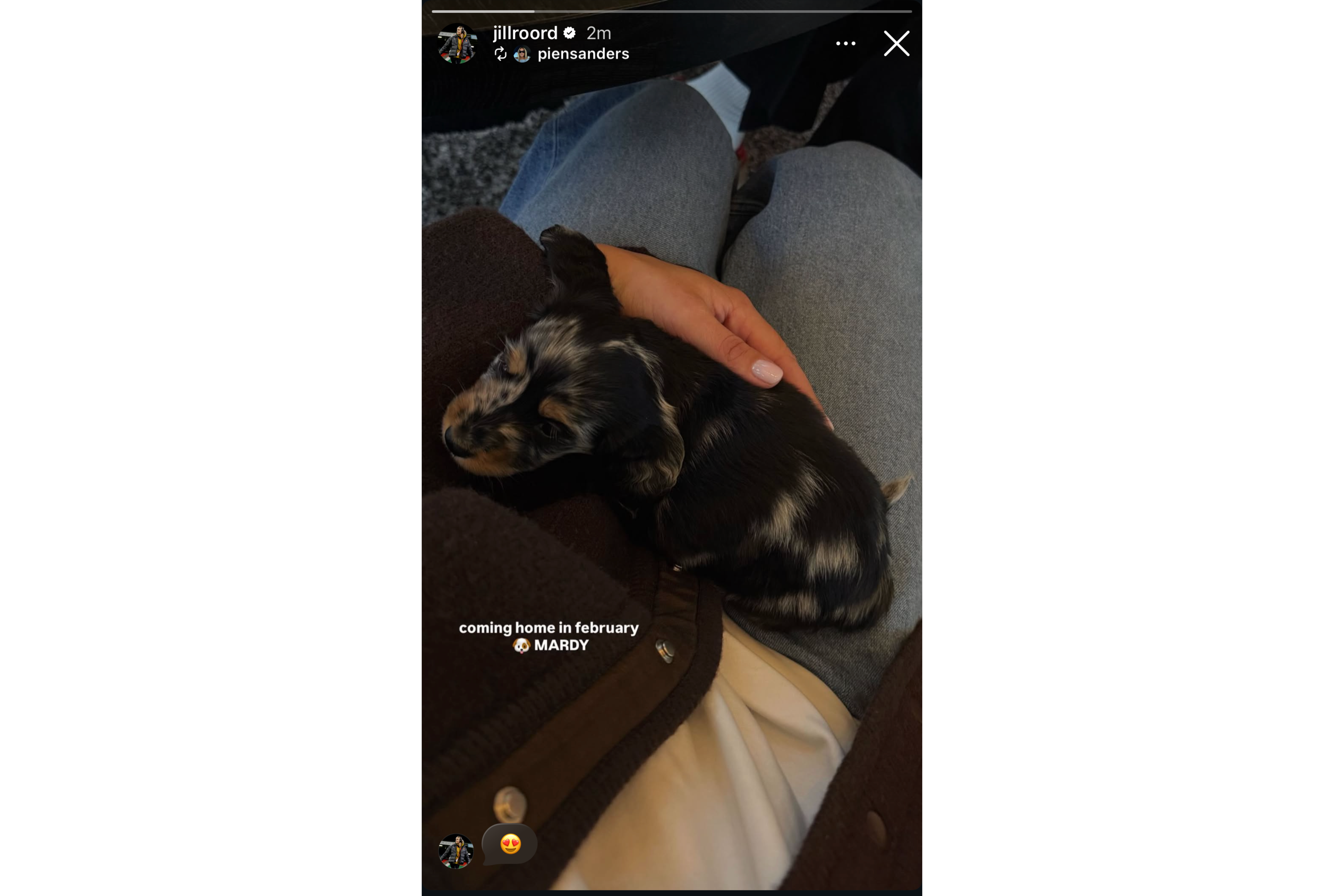 Jill Roord en Pien Sanders tonen puppy Mardy