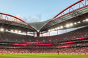 Estadio Da Luz