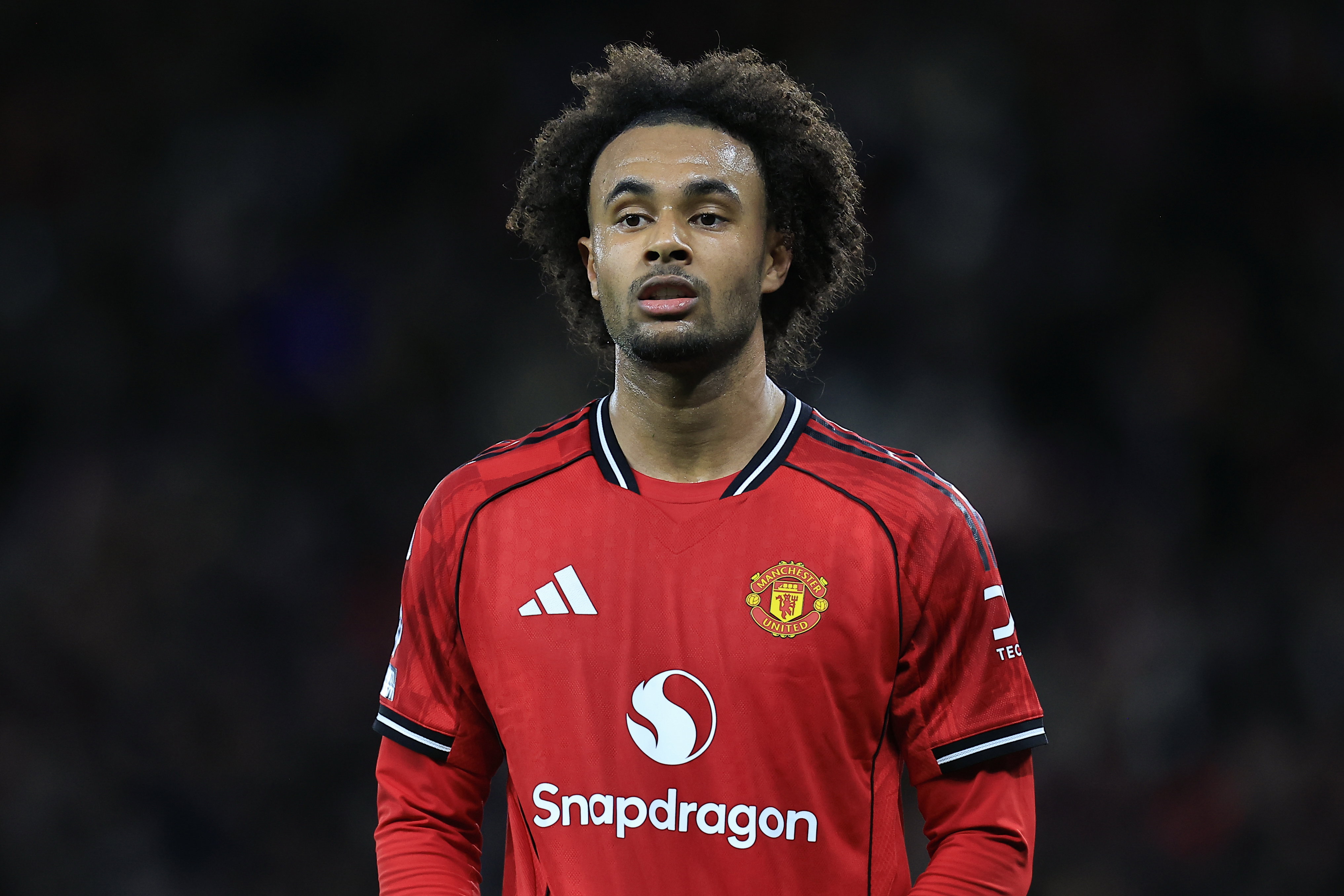 Joshua Zirkzee