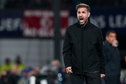 Cesc Fàbregas