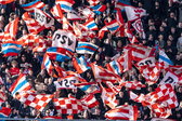 PSV-supporters