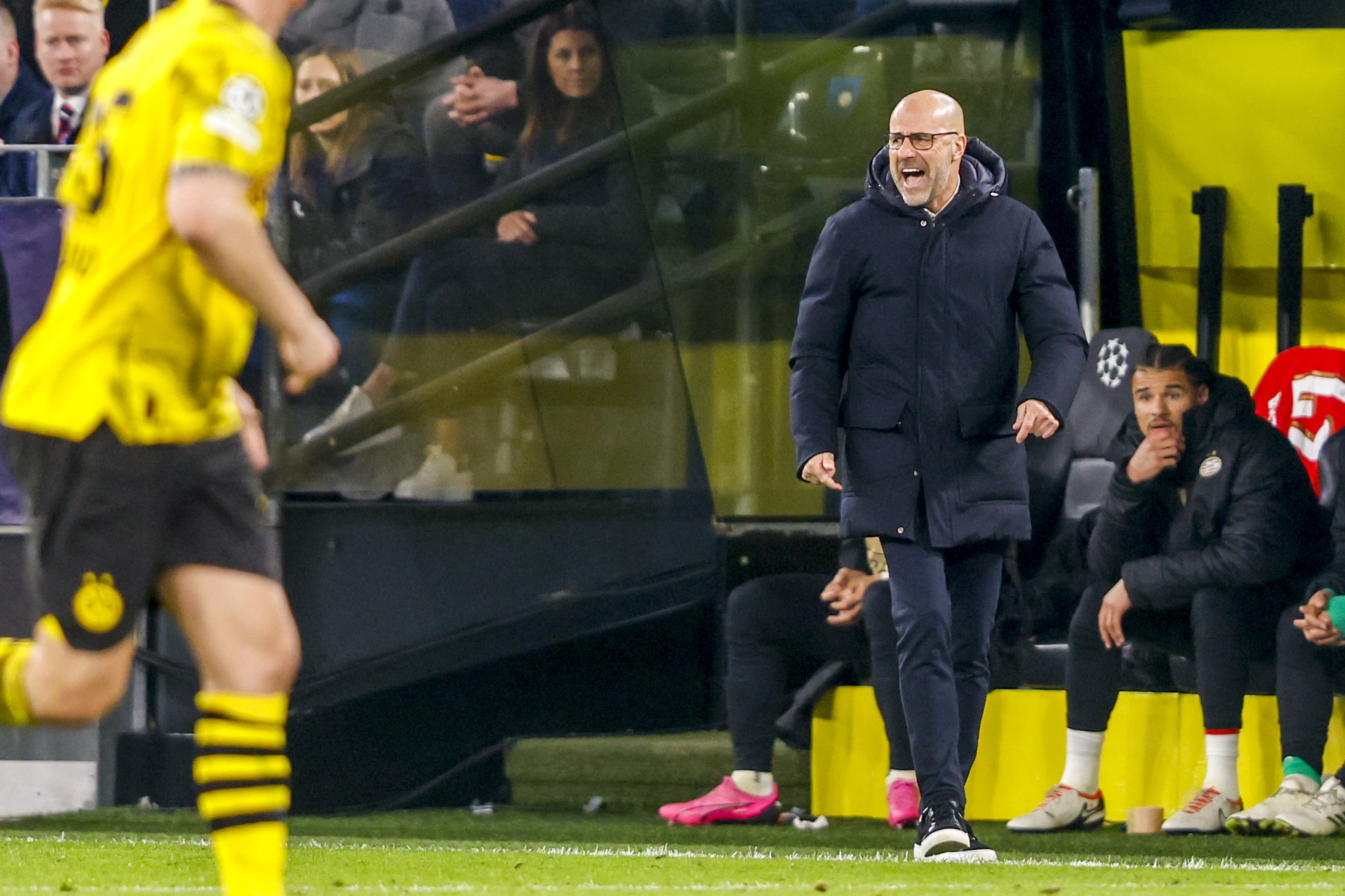 Peter Bosz in het Signal Iduna Park
