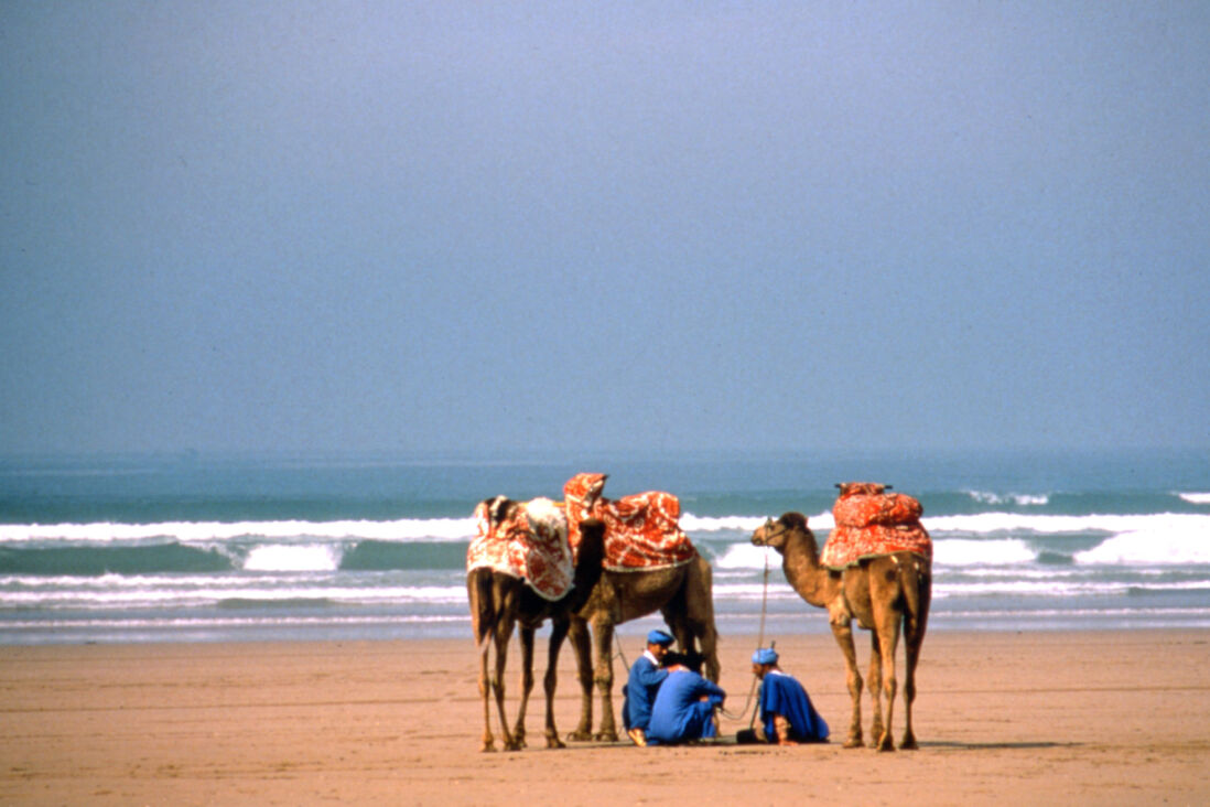 Het strand in Marokko