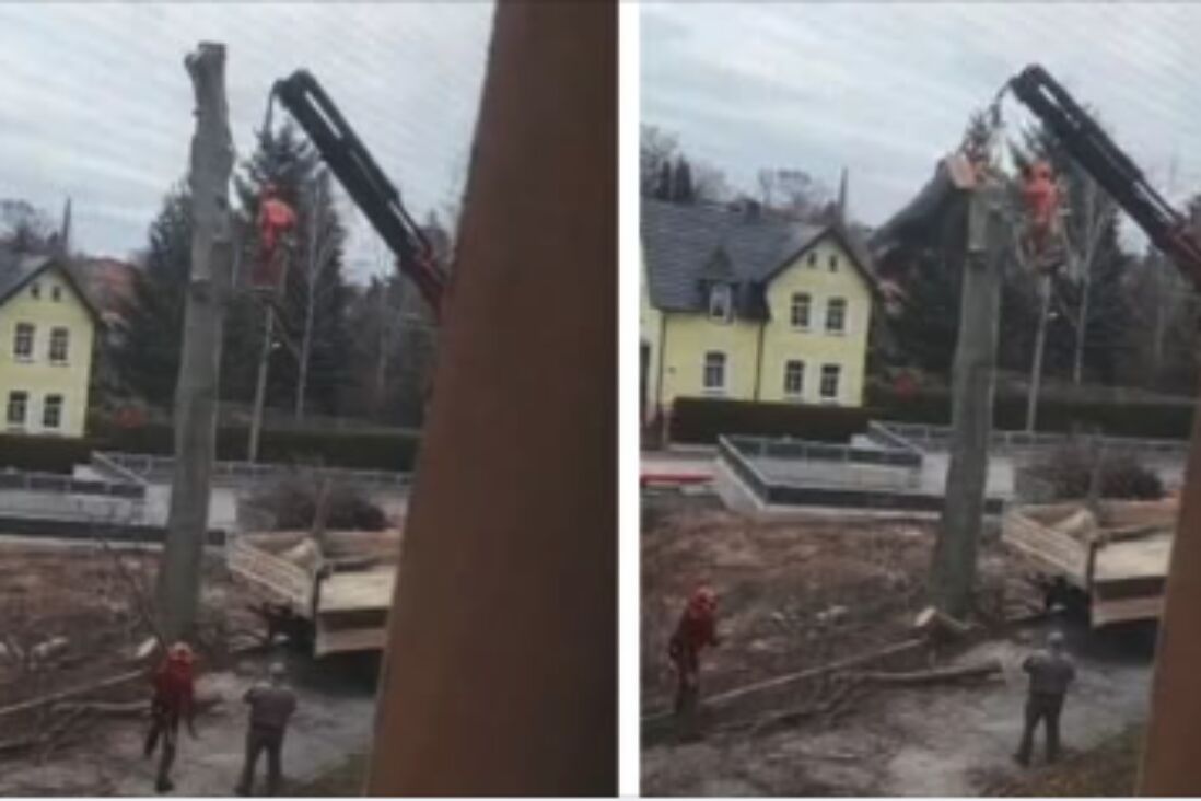 Hovenier komt bijna om het leven bij zaagwerk