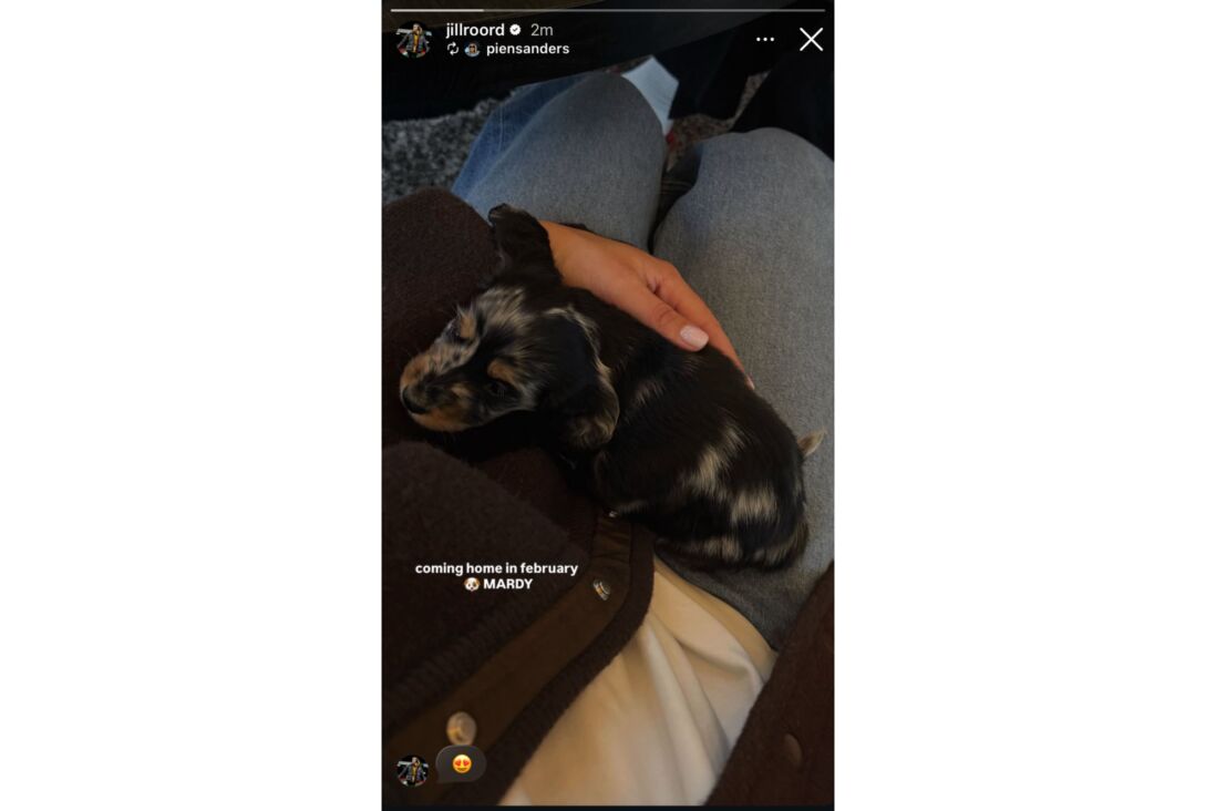 Jill Roord en Pien Sanders tonen puppy Mardy