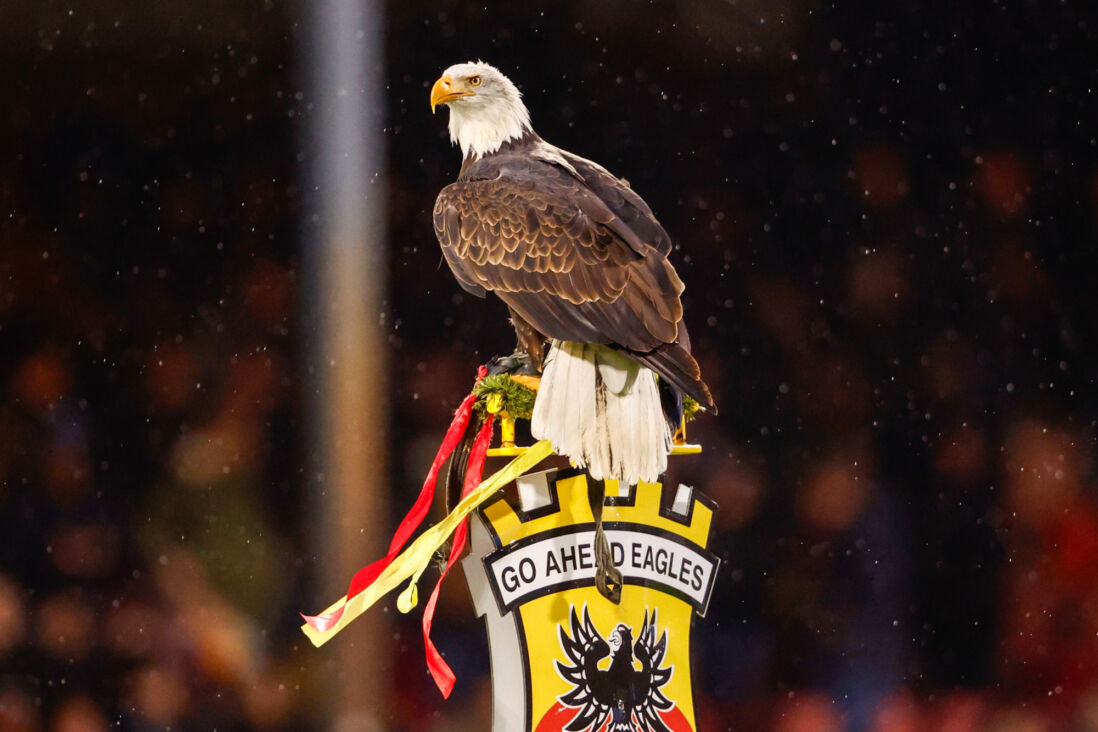 Harley op het logo van Go Ahead Eagles