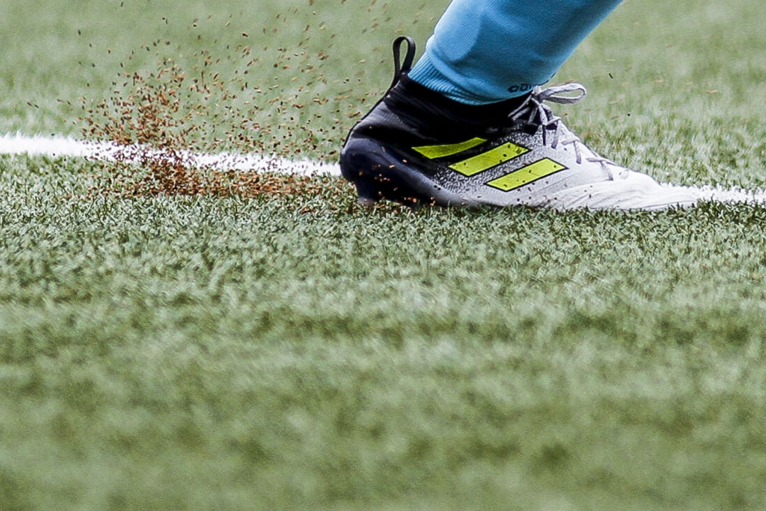 Korrels van kunstgras