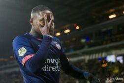 Bergwijnnofacenocase.jpg