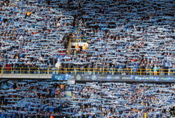 Club Brugge sjaals