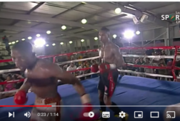 Youtube still Bouthelezi