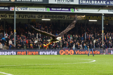Mascotte Go Ahead Eagles