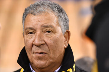 Henk ten Cate