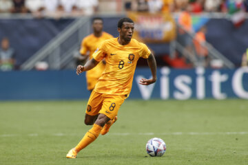 Georginio Wijnaldum tegen Italië