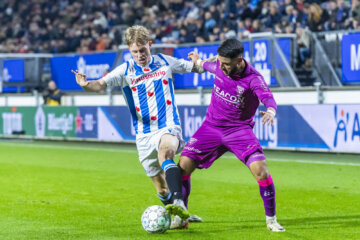 Melle Joop Witteveen