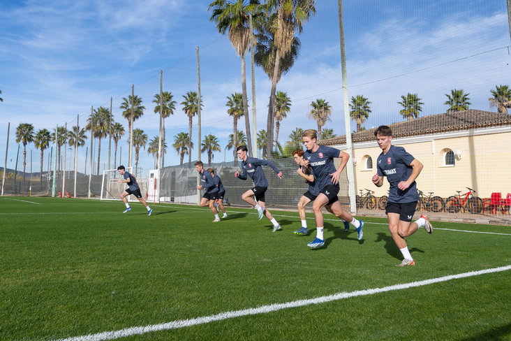 Vennegoor of Hesselink, Nagel, Kuster en Ribbers trainen mee in Spanje